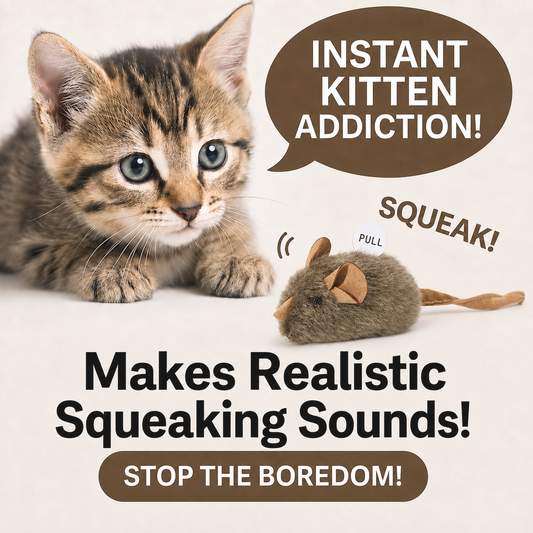 🎁LAST DAY SALE ! 50% OFF—Say Goodbye to Boredom: The Wind-Up Mouse That Drives Cats Wild! 🐭💥