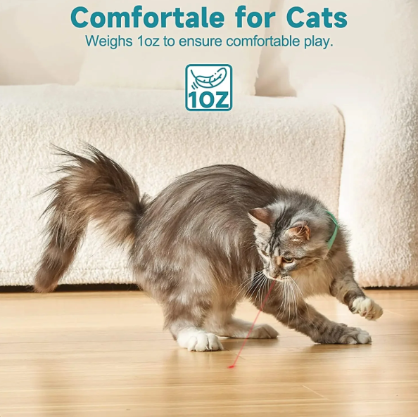 🔥 last day buy 2 get 1 free⚡“Keep Your Cat Entertained All Day — Even When You’re Busy 🐈