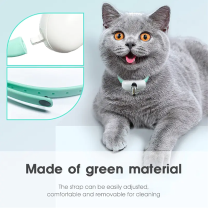🔥 last day buy 2 get 1 free⚡“Keep Your Cat Entertained All Day — Even When You’re Busy 🐈
