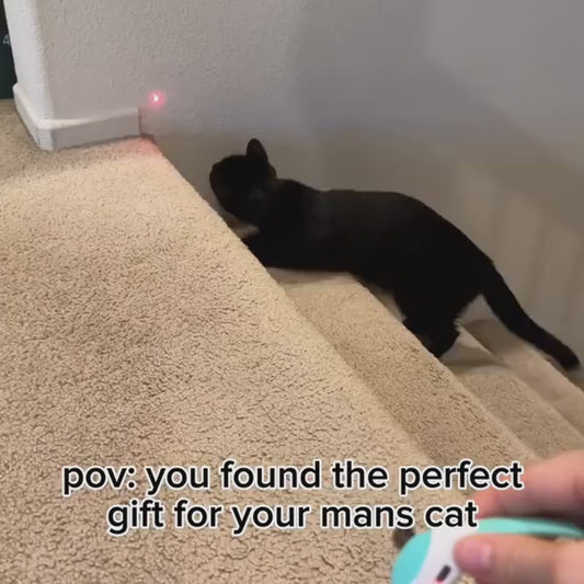 🔥 last day buy 2 get 1 free⚡“Keep Your Cat Entertained All Day — Even When You’re Busy 🐈